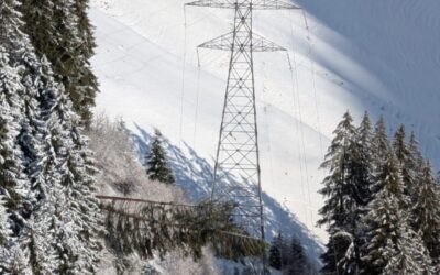 Auftrag für die Arnold AG